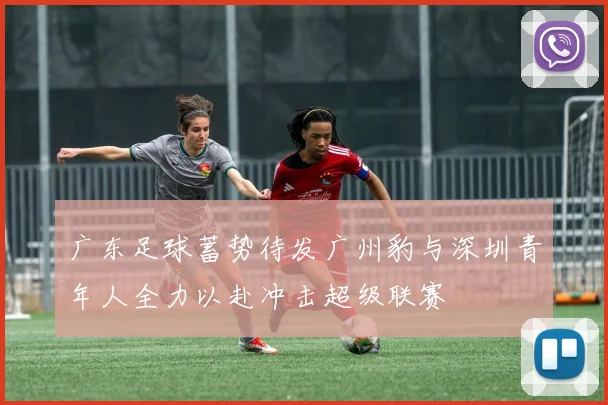广东足球蓄势待发广州豹与深圳青年人全力以赴冲击超级联赛