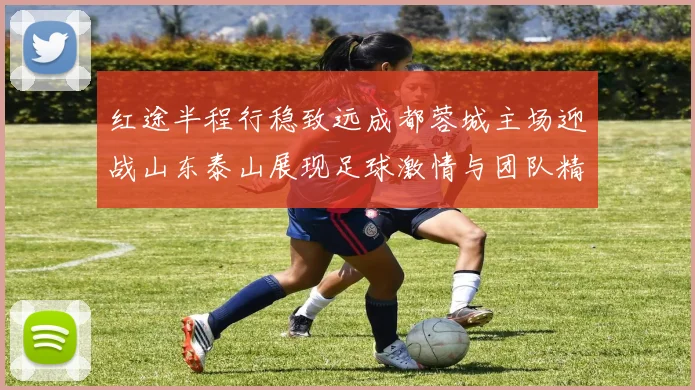红途半程行稳致远成都蓉城主场迎战山东泰山展现足球激情与团队精神