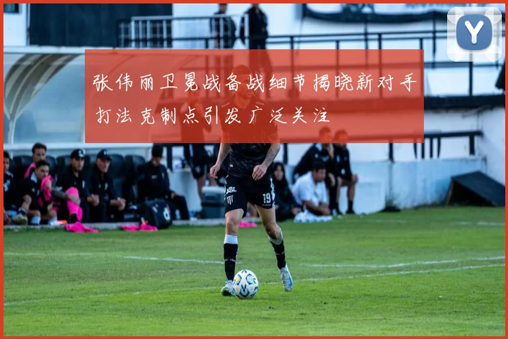 张伟丽卫冕战备战细节揭晓新对手打法克制点引发广泛关注