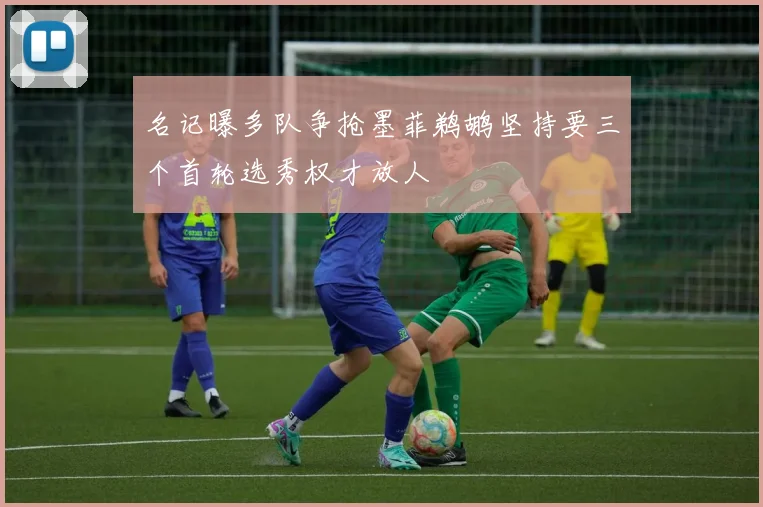 名记曝多队争抢墨菲鹈鹕坚持要三个首轮选秀权才放人