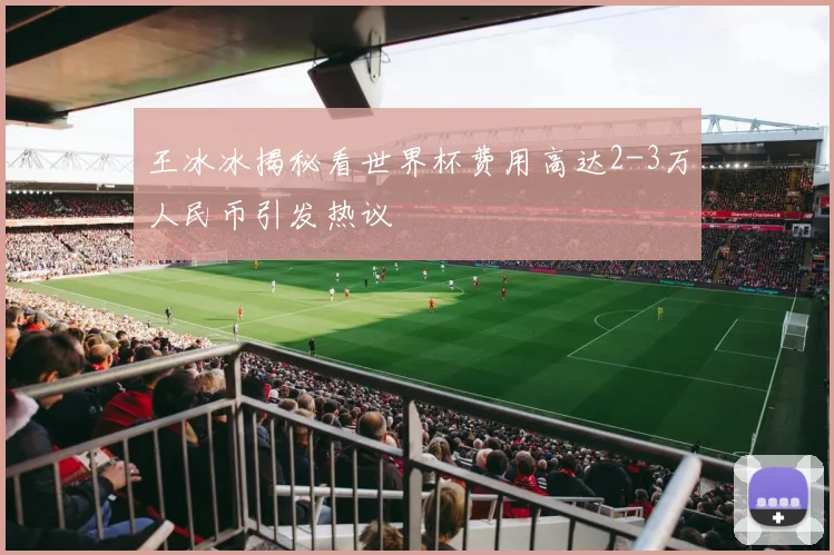 王冰冰揭秘看世界杯费用高达2-3万人民币引发热议